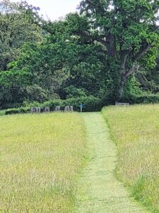mown pathway through a meadow leading to a stone circle