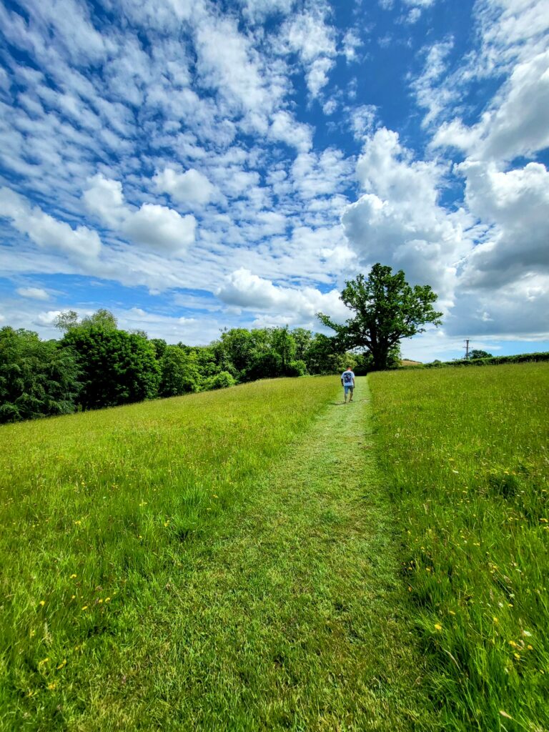 Meadow walk