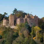 Castle on top of a hill surrounded by trees